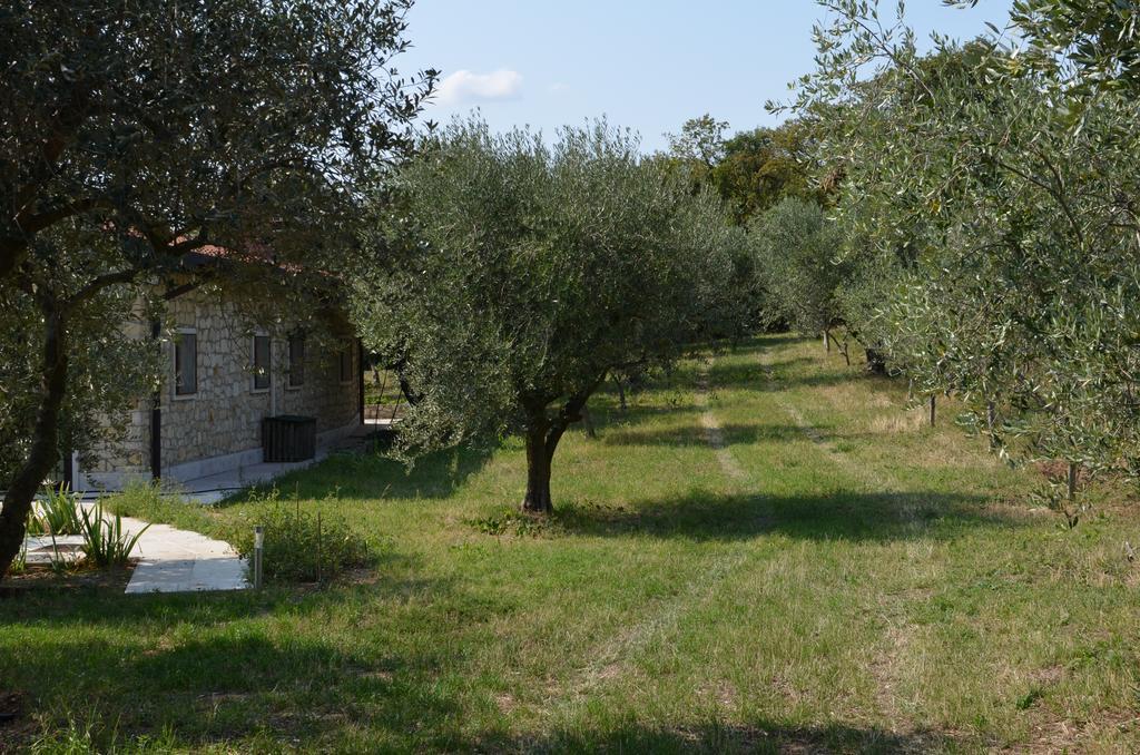 Agriturismo Bosco Magico Verona Ngoại thất bức ảnh