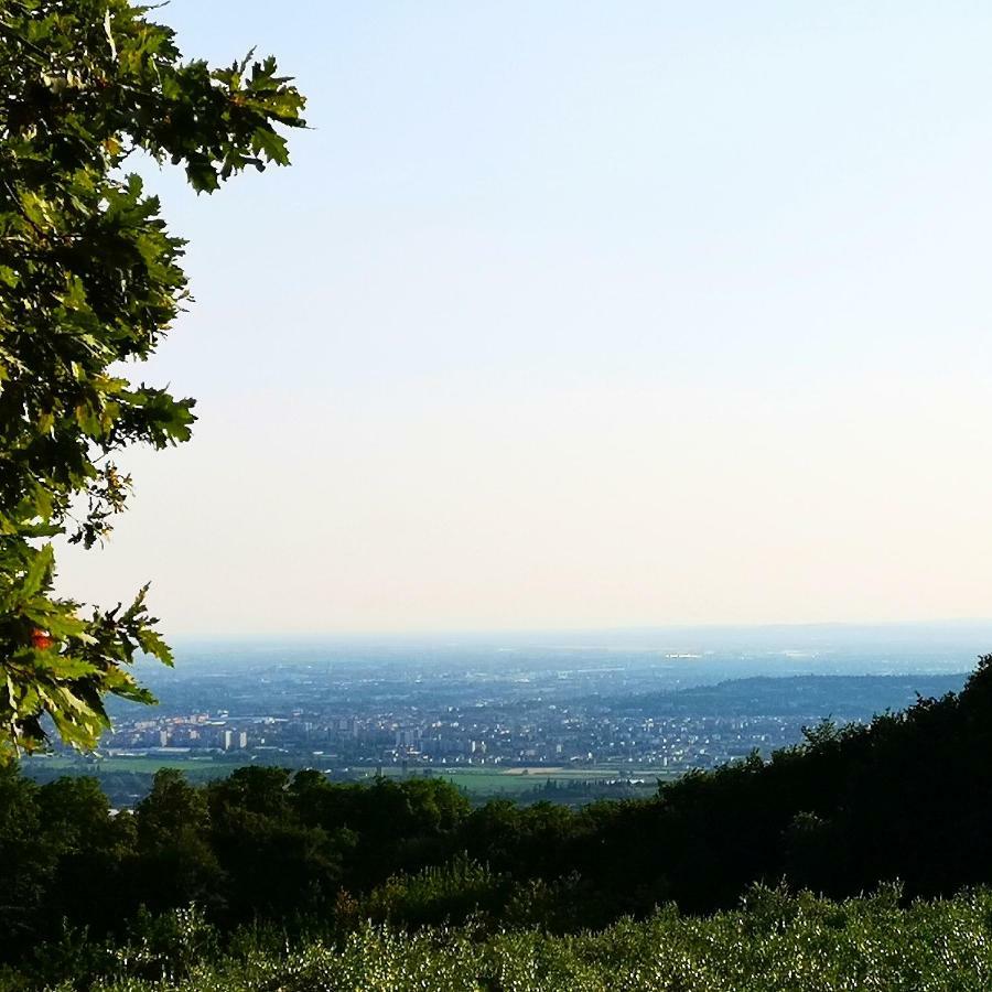 Agriturismo Bosco Magico Verona Ngoại thất bức ảnh