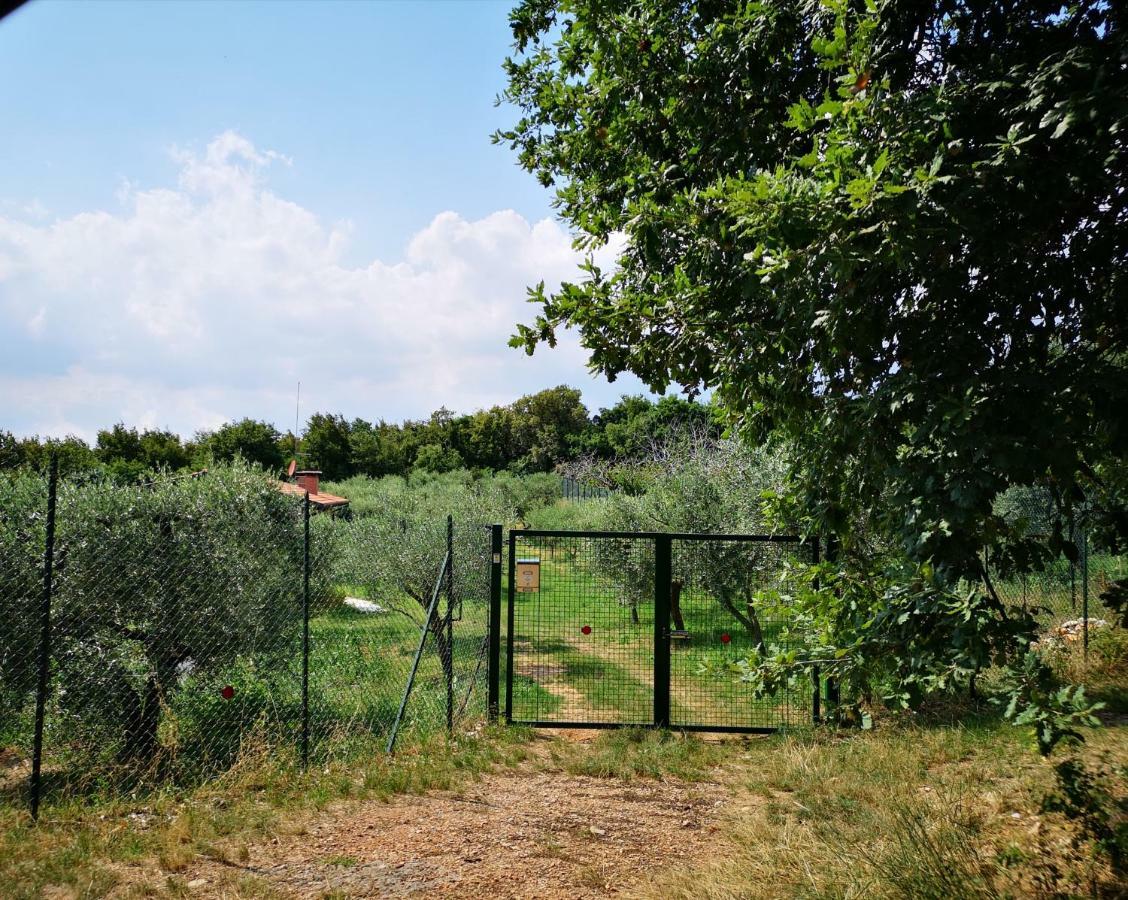 Agriturismo Bosco Magico Verona Ngoại thất bức ảnh